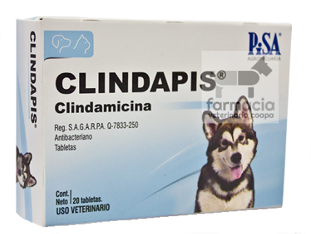 los perros pueden tomar clindamicina hcl 300 mg